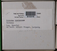Image Associated With the Occurence
